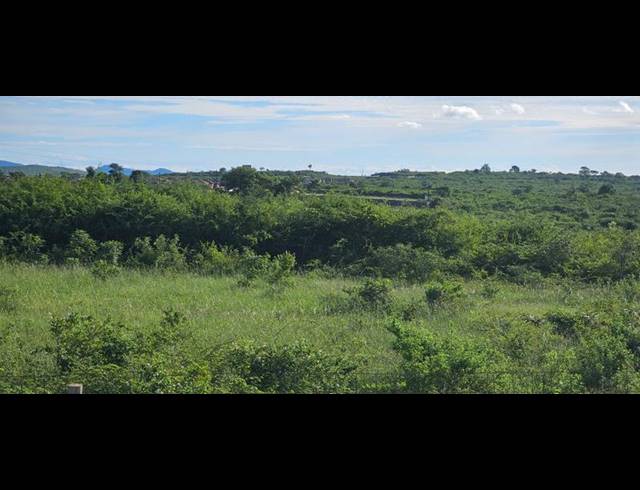 LAND FOR SALE IN TSWINGA
